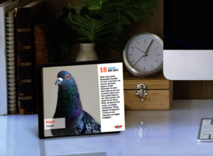 Palomacy's 1st 365 page, full color desk calendar!