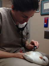 Dr. Fitzgerald of Medical Center for Birds & Rumi