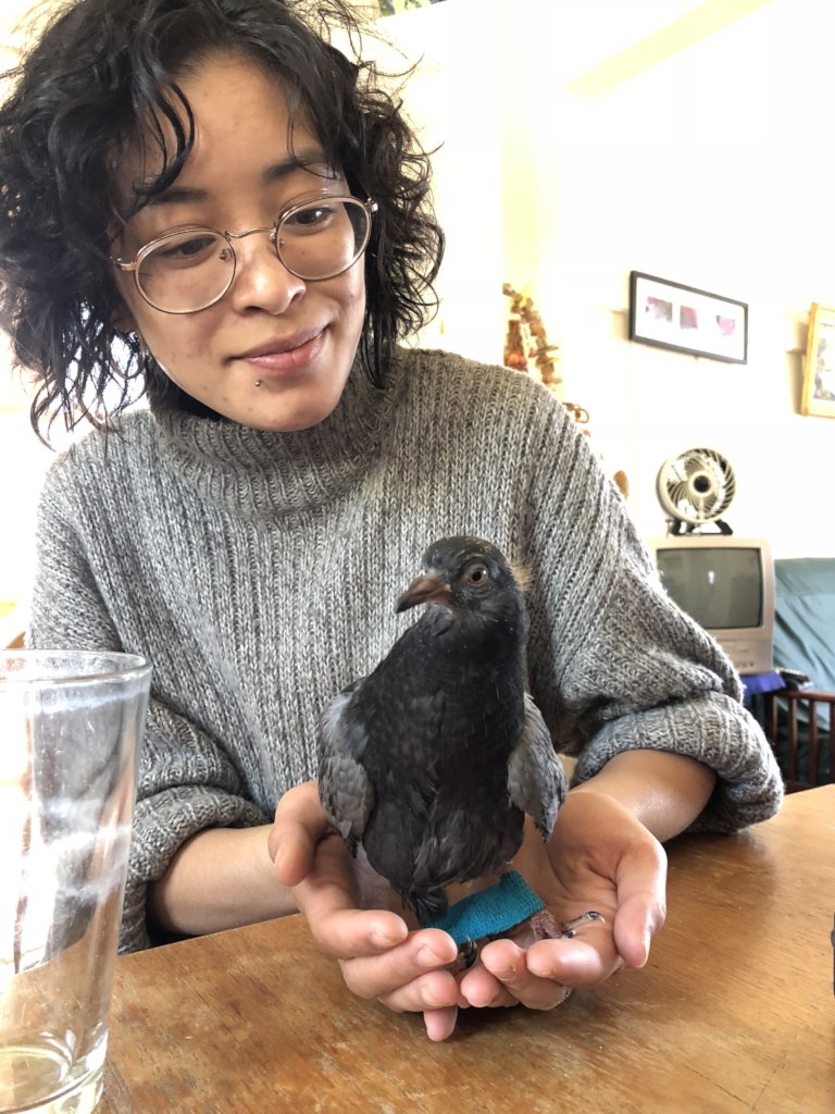 Volunteer Krista & tall Glory, up on her feeties!