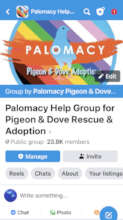 Palomacy's online Help Group (23k active members)