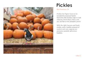 Pickles wishes you a most heartening autumn