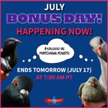 Thank You for Helping Palomacy Help Birds!