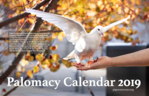 Palomacy's 2019 Full Color Photo Wall Calendar