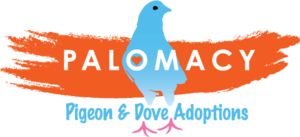 Palomacy is pigeon diplomacy