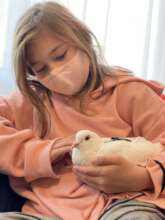 Save the Lives of Domestic Pigeons & Doves