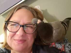 Palomacy Rescues & Rehomes Pigeons & Doves