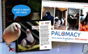 Everybirdy Needs Palomacy's 2022 Calendars!