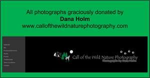 Dana Holm, Photographer
