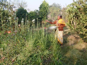 Plucking flowers to sell on Festival days