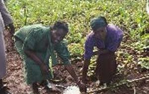 YWCA Clean Water Projects