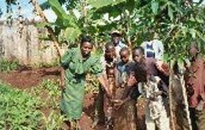 YWCA Clean Water Projects