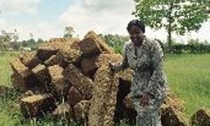 YWCA Clean Water Projects