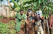 YWCA Clean Water Projects