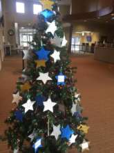Our Star families