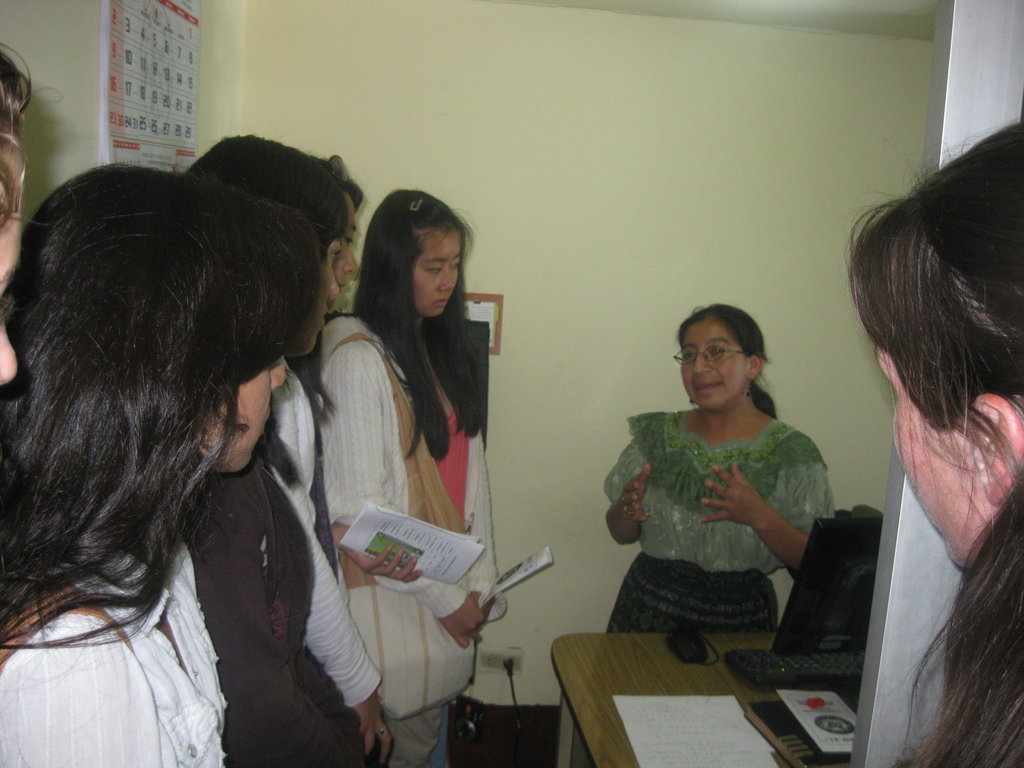 Web-based Small Business Mentorship for Guatemala
