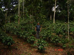 Francisco the Coffee Entrepreneur