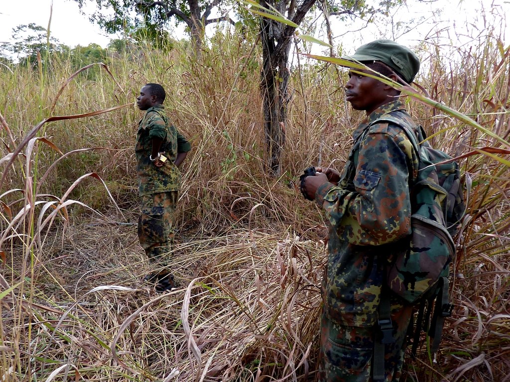 Help protecting Malawi's elephants