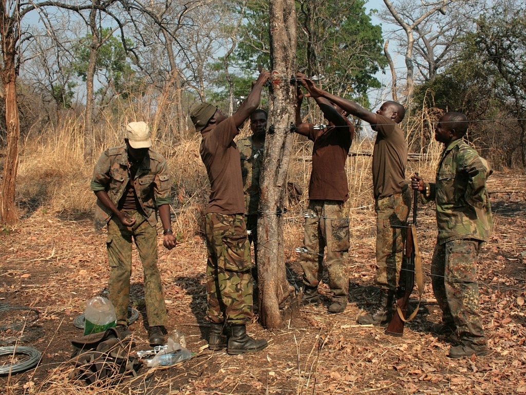 Help protecting Malawi's elephants