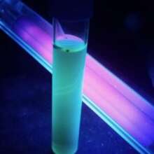 water sample contaminated with E. coli