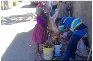 Collecting Food Waste