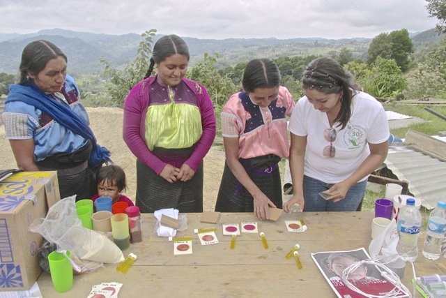 Examining Their Own Water