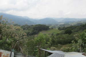 Beautiful green Chiapas