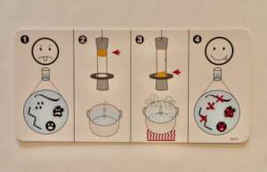 How To Use Your Wapi