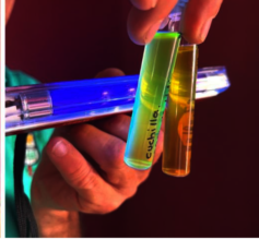 Yellow/Green fluorescence indicates contamination