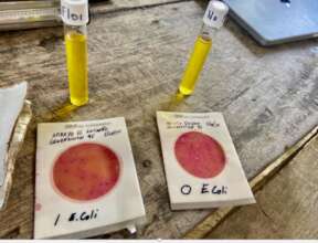 First sample high risk second sample moderate risk