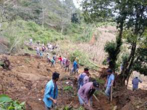 Opening the road to Rio Negro