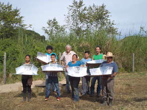 Solar Stoves