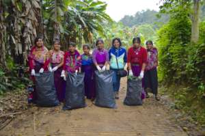 Community Cleanup and Recycling