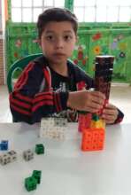 Learning, Building, and Growing