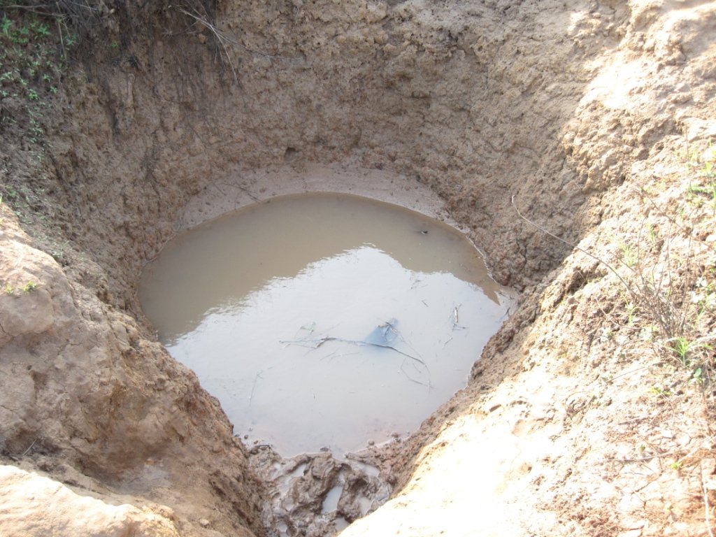 Life Without Water