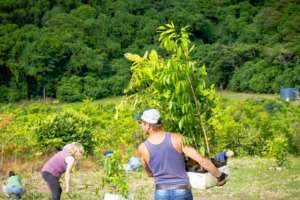 Community Tree Planting May 2017