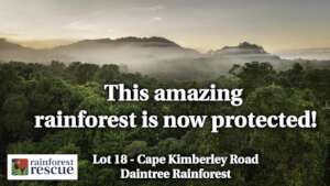 Lot 18 Cape Kimberley Rd is Now Protected