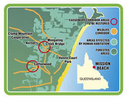 Mission Beach Cassowary (Wildlife) Corridors