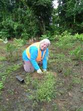 Volunteers are invaluable to our efforts