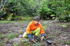 One Tree at a Time, Rainforest Rescue