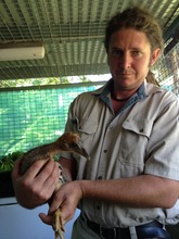 Cassowary carer
