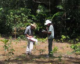 Dr Kooyman & Edie documenting plant species