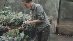 Nursery Manager - Marine Deliens