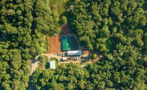 Native Nursery - Martin Stringer Photograpy