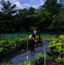 Marine Deliens, Nursery Manager