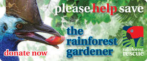 Save the Cassowary