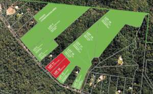 Forest Creek Wildlife Corridor