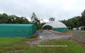 Progress at the New Native Nursery