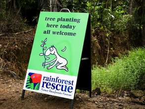 Daintree Tree Planting 2014 (c) Martin Stringer
