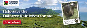 Daintree Buy Back Banner