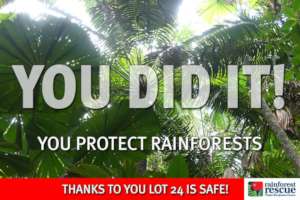 Lot 24 Cape Tribulation Road is Safe Forever